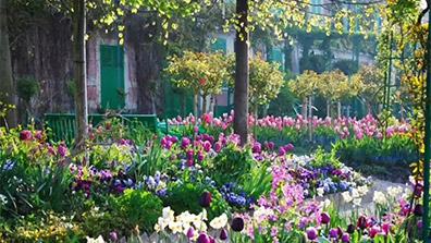 植物景觀設計的過程中如何運用好園藝療法