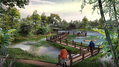 濕地公園景觀設計要素