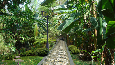 風(fēng)景園林設(shè)計需要以生態(tài)理念為指導(dǎo)