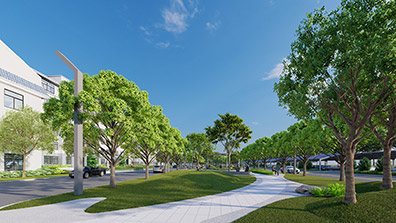 園林設計的過程中植物配置應注意的問題