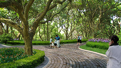 園林景觀設計中植物造景要點