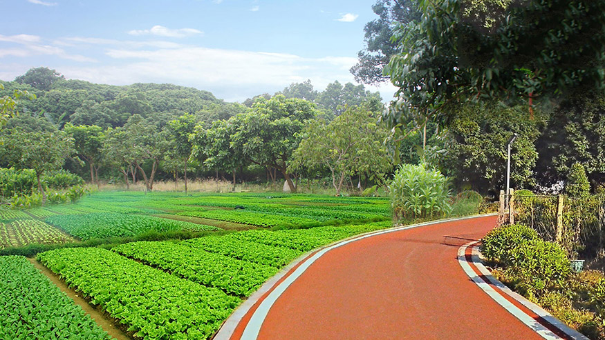 大嶺山鎮(zhèn)新塘村美麗幸福村居建設行動計劃